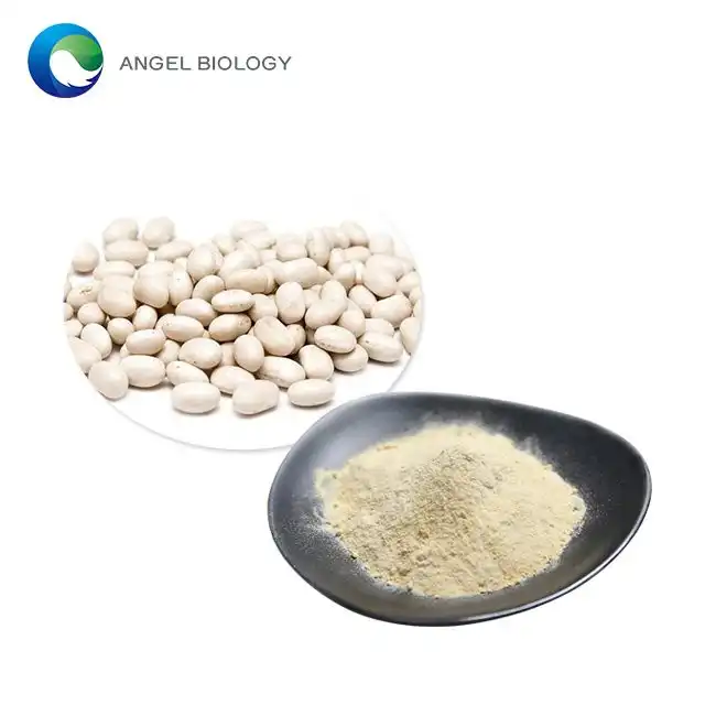 White Kidney Bean Extract Poeder