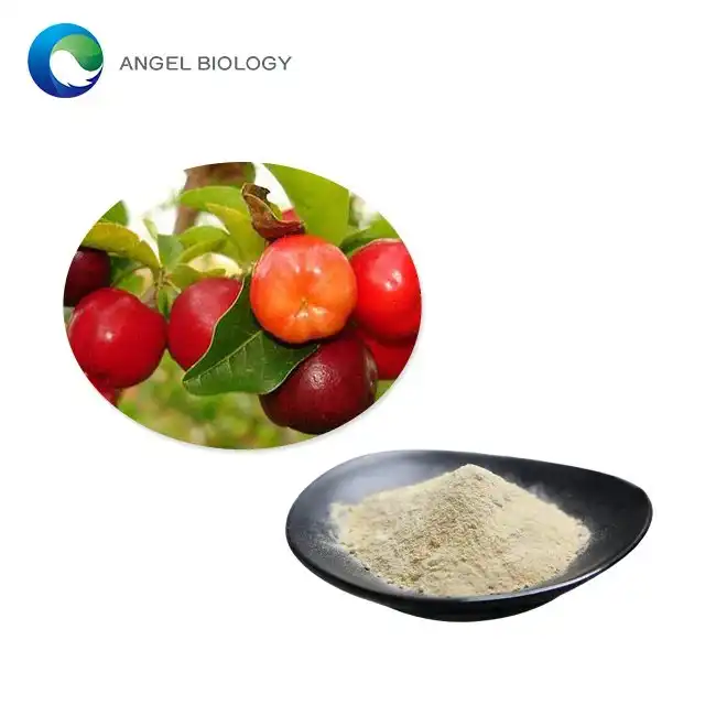 Acerola Ĉeriza Ekstrakta Pulvoro