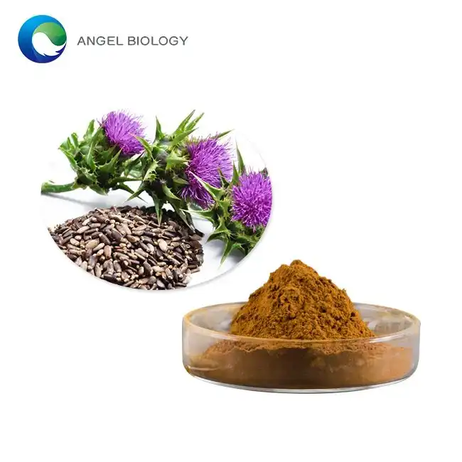 Milk Thistle Extract Poeder