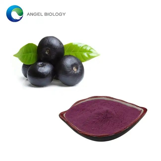 Acai Berry Extracto Pulvoro