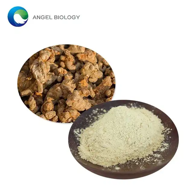 Panax Notoginseng Radika Ekstrakta Pulvoro