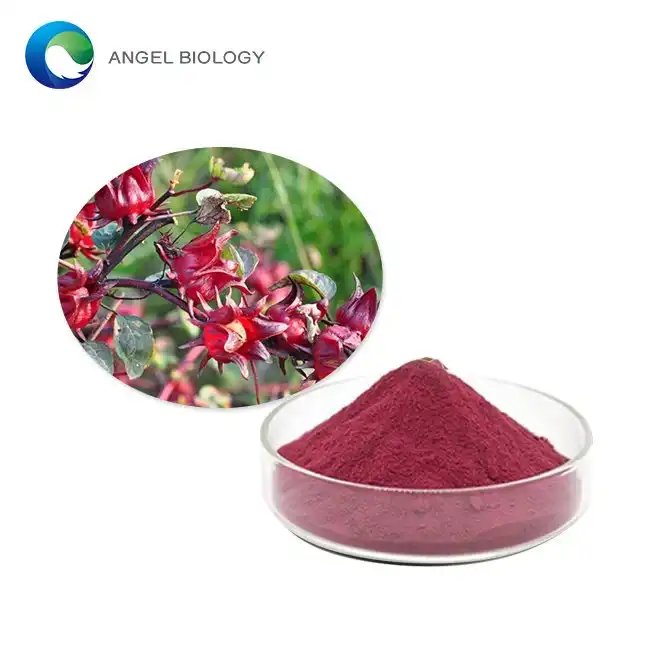 Hibiscus Flora Ekstrakta Pulvoro