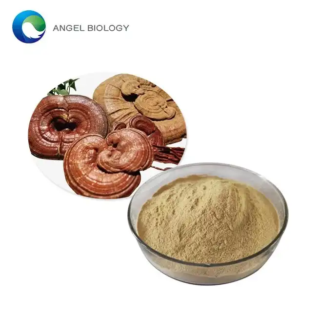 Reishi Mushroom Extract Poeder