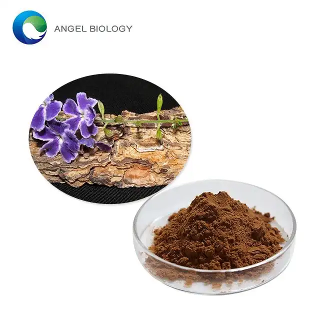 Pine Bark Extract Poeder