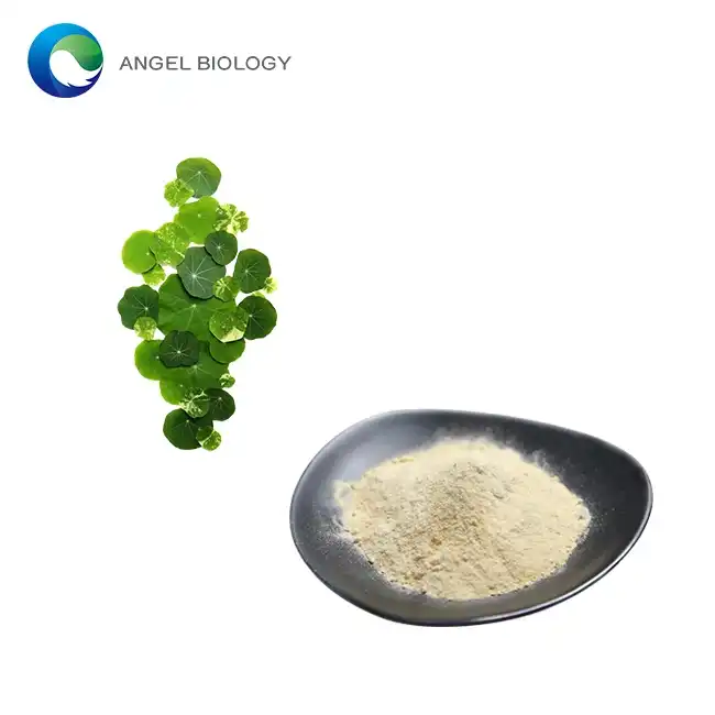 Gotu Kola Extract Poeder