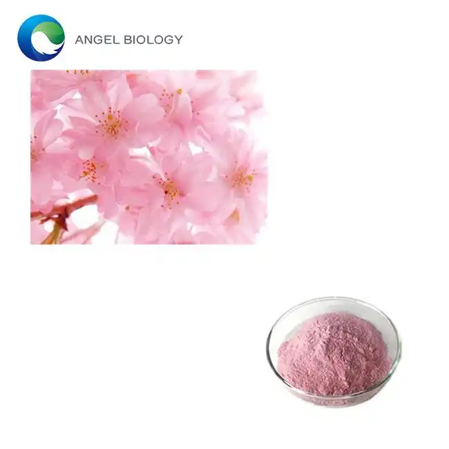 Sakura extract poeder