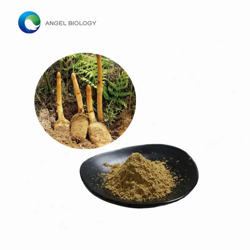 Gastrodia Radika Ekstrakto