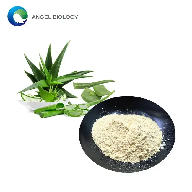 Aloe Vera extract poeder