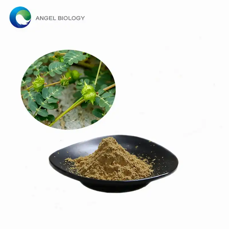 Extract fan Tribulus Terrestris