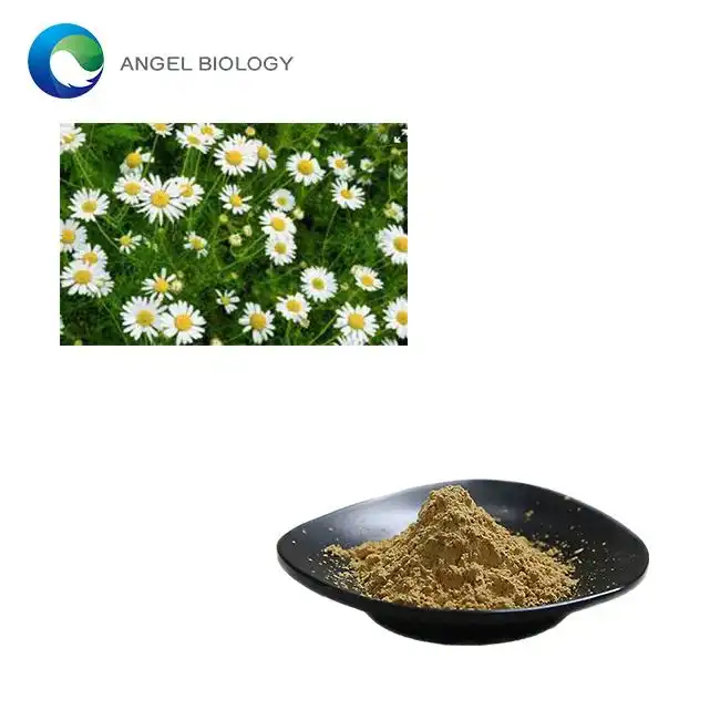 Ekstrak Bunga Anthemis Nobilis