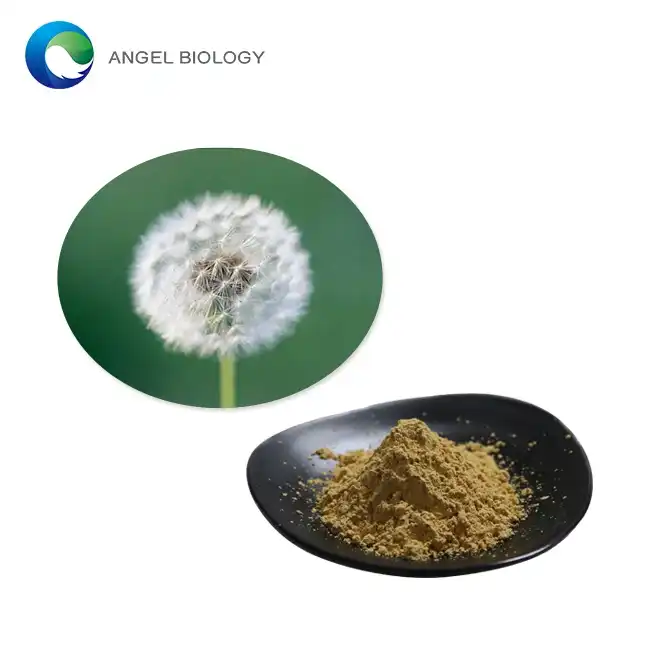 Pulvoro de Ekstrakta Radiko de Dandelion